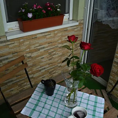 Berettyo Apartment